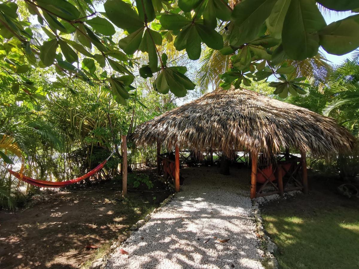 Tropical Villas At Los Corales Beach - Caribbean Rentals Fzco 蓬塔卡纳 外观 照片