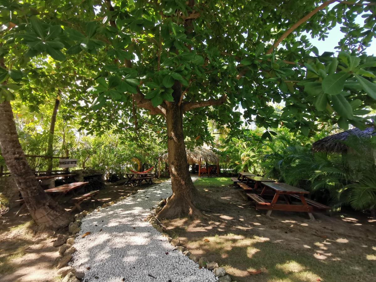 Tropical Villas At Los Corales Beach - Caribbean Rentals Fzco 蓬塔卡纳 外观 照片